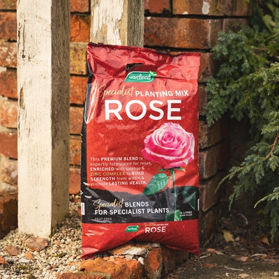 Westland Rose Planting Mix Peat Free 10L Pouch