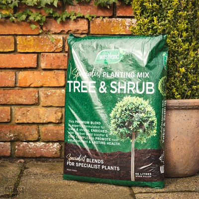 Westland Tree & Shrub Planting & Potting Peat Free Mix 46L
