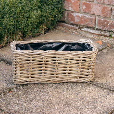 Grey Willow Window Box 40cm